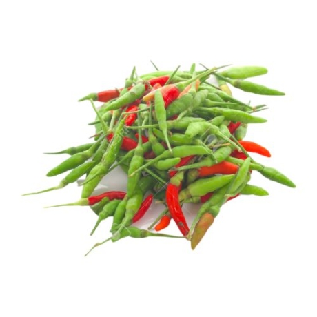 Small Chili [1 kg]