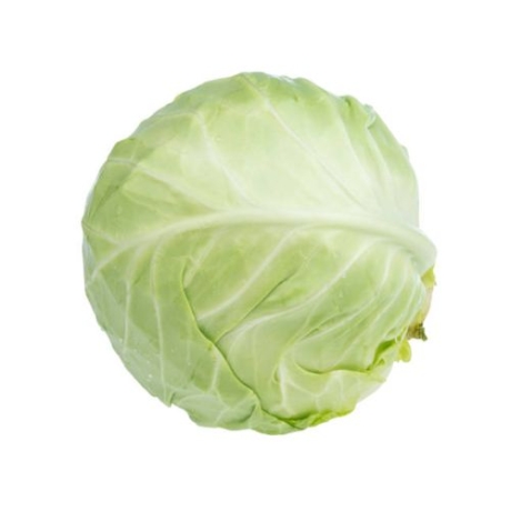 Cabbage [1 pc]