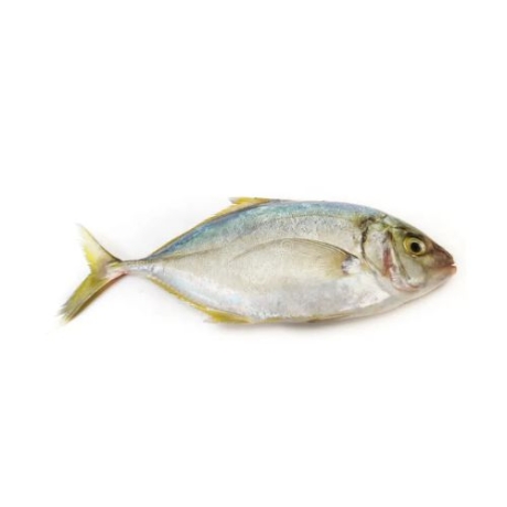 Bayad Fish [1 kg]