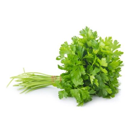 Coriander (Kamsara) [1 set]